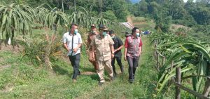 Nasrul Abit : Buah Naga Batuhampar Potensi Argrowisata Dapat Sejahterakan Masyarakat.