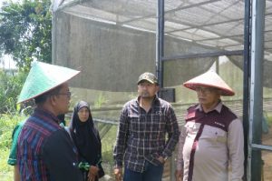 Audy Joinaldy Dorong Kelompok Tani Berkolaborasi Bangun Sistem Pertanian Terpadu