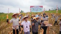 IMG-20250928-WA0015