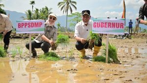 Pemerintah Percepat Pemulihan Lahan Terdampak Bencana dan Antisipasi Kekeringan Melalui Gerakan Tanam Serempak 50 Ribu Hektare