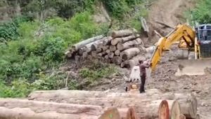 Gakkum Kehutanan Limpahkan Tersangka Pemanenan Hasil Hutan Tampa Hak di Sariak Bayang Kepada Kejaksaan Negeri Solok Sumbar