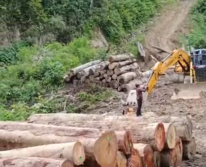 Gakkum Kehutanan Limpahkan Tersangka Pemanenan Hasil Hutan Tampa Hak di Sariak Bayang Kepada Kejaksaan Negeri Solok Sumbar