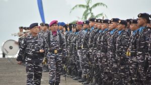 Dankodaeral II Laksda TNI Sarimpunan Tanjung Pimpin Apel Siaga Hari Jadi ke-81 TNI AL