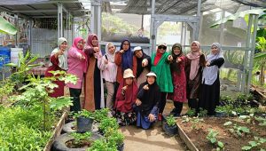 KWT Sumber Rizki Apresiasi Dukungan Ketua DPRD Sumbar Muhidi, Budidaya Jahe Kini Berkembang Jadi Produk UMKM